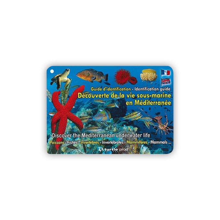 Guide d'identification - Vie sous-marine en Méditerranée