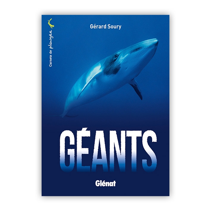 Géants - Baleines, requins ou calamars